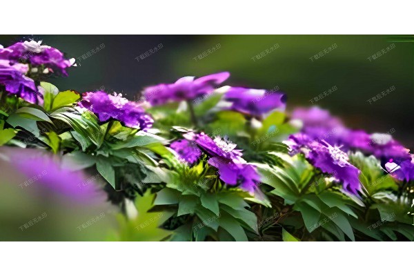 武汉桑拿执照轻松代办，养生好帮手！